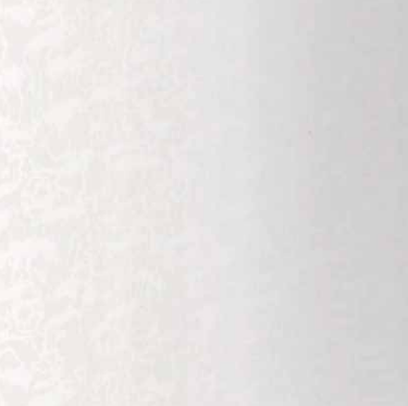 iCladd Maxplas  Frosty White 2400 x 1000 x 10mm